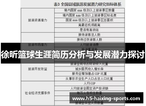 徐昕篮球生涯简历分析与发展潜力探讨