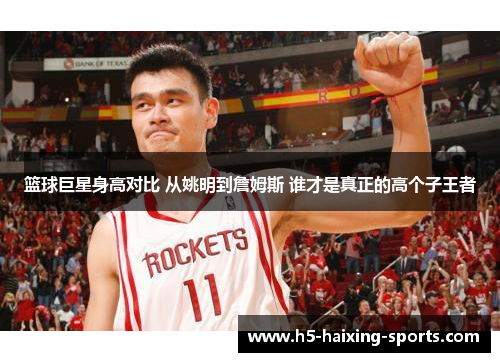 篮球巨星身高对比 从姚明到詹姆斯 谁才是真正的高个子王者