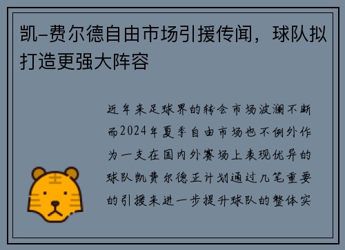 凯-费尔德自由市场引援传闻，球队拟打造更强大阵容
